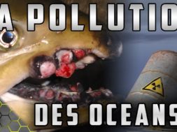 10 CHOSES EFFRAYANTES sur la POLLUTION des OCÉANS