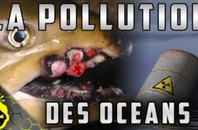 10 CHOSES EFFRAYANTES sur la POLLUTION des OCÉANS