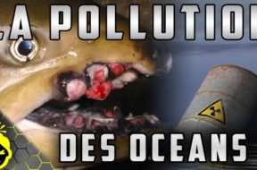 10 CHOSES EFFRAYANTES sur la POLLUTION des OCÉANS