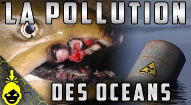 10 CHOSES EFFRAYANTES sur la POLLUTION des OCÉANS