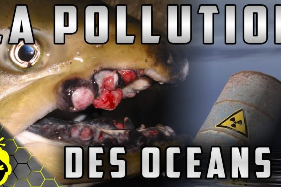 10 CHOSES EFFRAYANTES sur la POLLUTION des OCÉANS