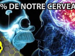 10 CHOSES à SAVOIR sur VOTRE CERVEAU