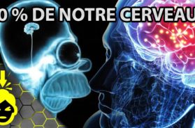 10 CHOSES à SAVOIR sur VOTRE CERVEAU