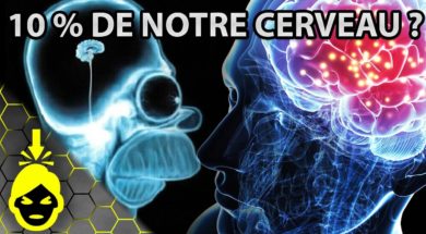 10 CHOSES à SAVOIR sur VOTRE CERVEAU