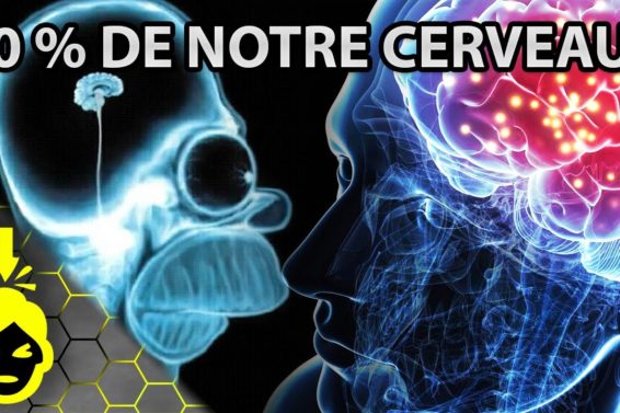 10 CHOSES à SAVOIR sur VOTRE CERVEAU